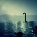 Study: Loch Ness Monster was a Delusion Influenced by Ancient Dinosaur Discovery