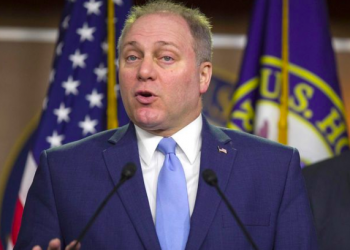 Steve Scalise Faults President Trump’s Plan for ‘Merit-Based’ Immigration