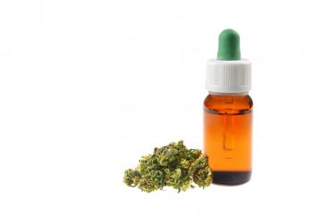 Studies Suggest CBD Oil can be used to Lower Pain