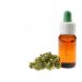 Studies Suggest CBD Oil can be used to Lower Pain