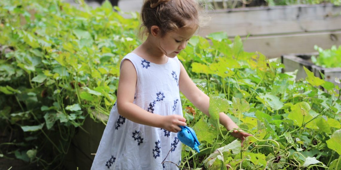 Parents are Engaging their Children in DIY Activities to Improve their Knowledge