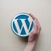 More Website Owners now Realize the Importance of Staging Environments for WordPress Sites