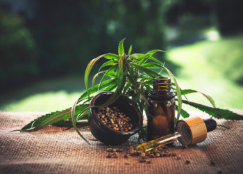 Marijuana Overproduction Problems could lead to Losses for Cannabis Companies and Growers