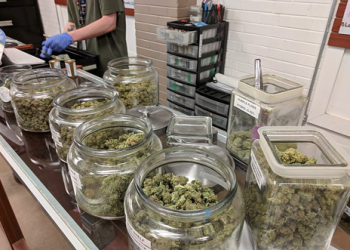 The Global Cannabis Market Continues to Grow at a Rapid Pace