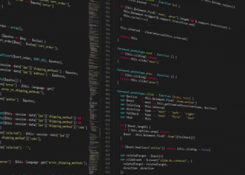 The Cross-Site Scripting Vulnerability