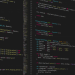 The Cross-Site Scripting Vulnerability