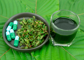 The Golden Monk is one of the Leading Suppliers of Kratom in Las Vegas, Nevada