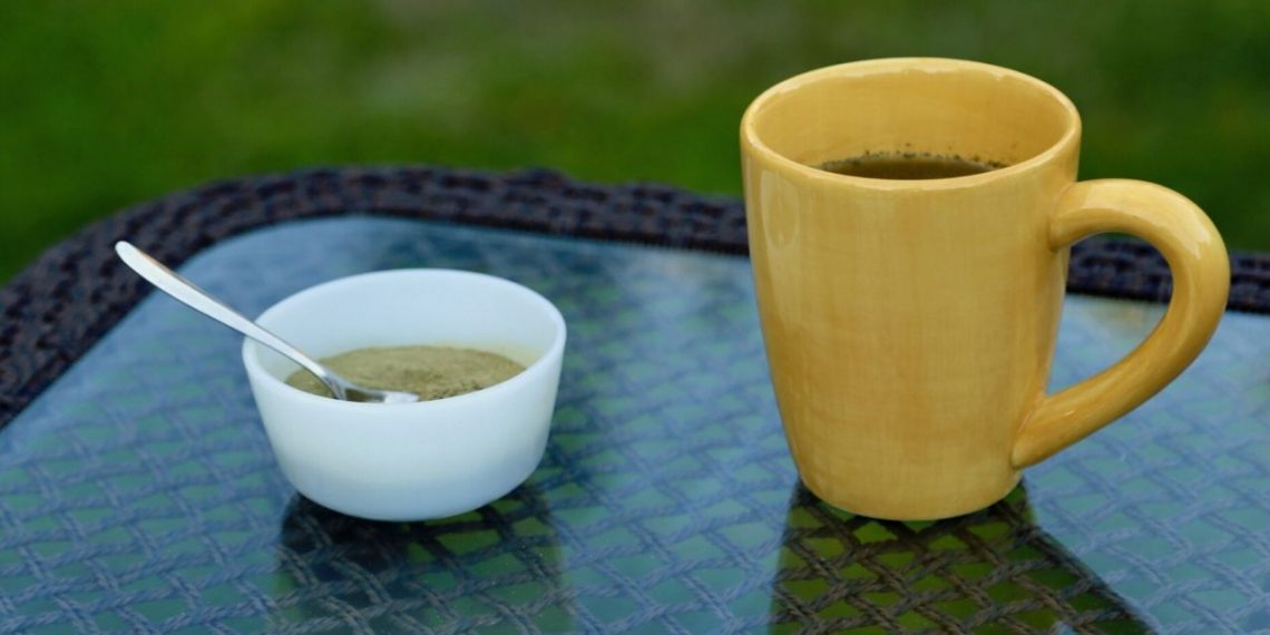 There are No Side Effects of the White Dragon Kratom Strain; Hence the Popularity