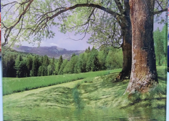 Digital-printing Glass