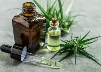 Researchers say CBD Oil Products Interact with Medication to Give Undesirable Results