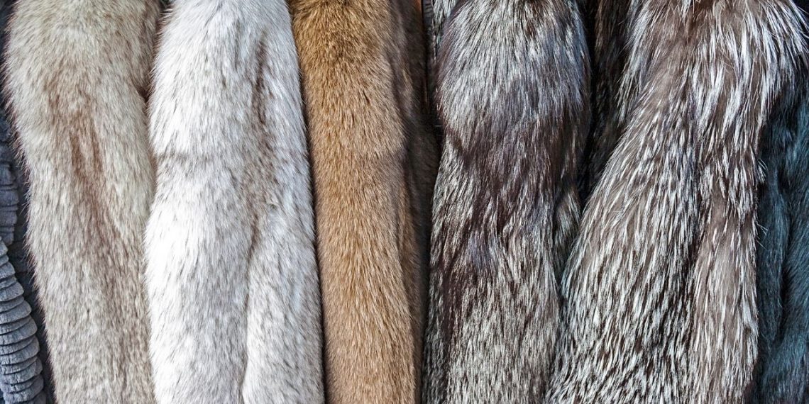 Beautiful and High-Quality Fur Clothing Line is Back in Fashion with a Strong Impact