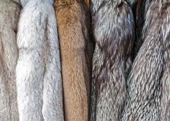 Beautiful and High-Quality Fur Clothing Line is Back in Fashion with a Strong Impact