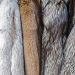 Beautiful and High-Quality Fur Clothing Line is Back in Fashion with a Strong Impact