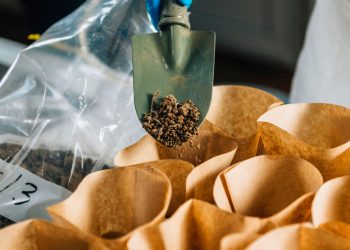 Soil Testing Methods are now Being Extensively Used to Determine the Soil Quality Before Initiating any Construction Work