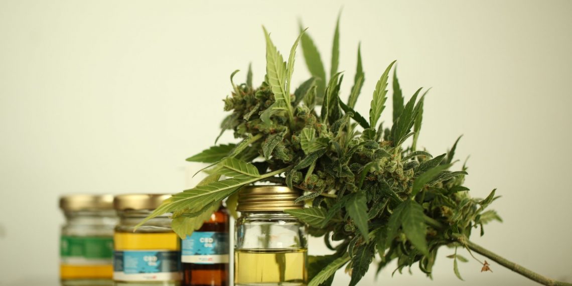 Availability of Inexpensive CBD Products is Helping People Live a Disease Free Life