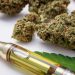 Experts Say Terpene Based Broad Spectrum Hemp Tinctures Are Better