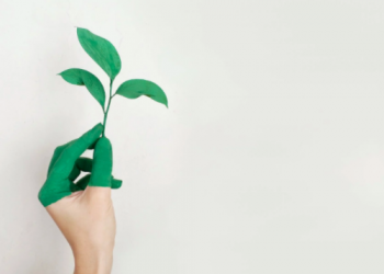 6 Ways Businesses Can Protect The Environment