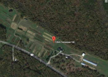 How one Medium Agriculture Sector Business Flourished During Covid-19