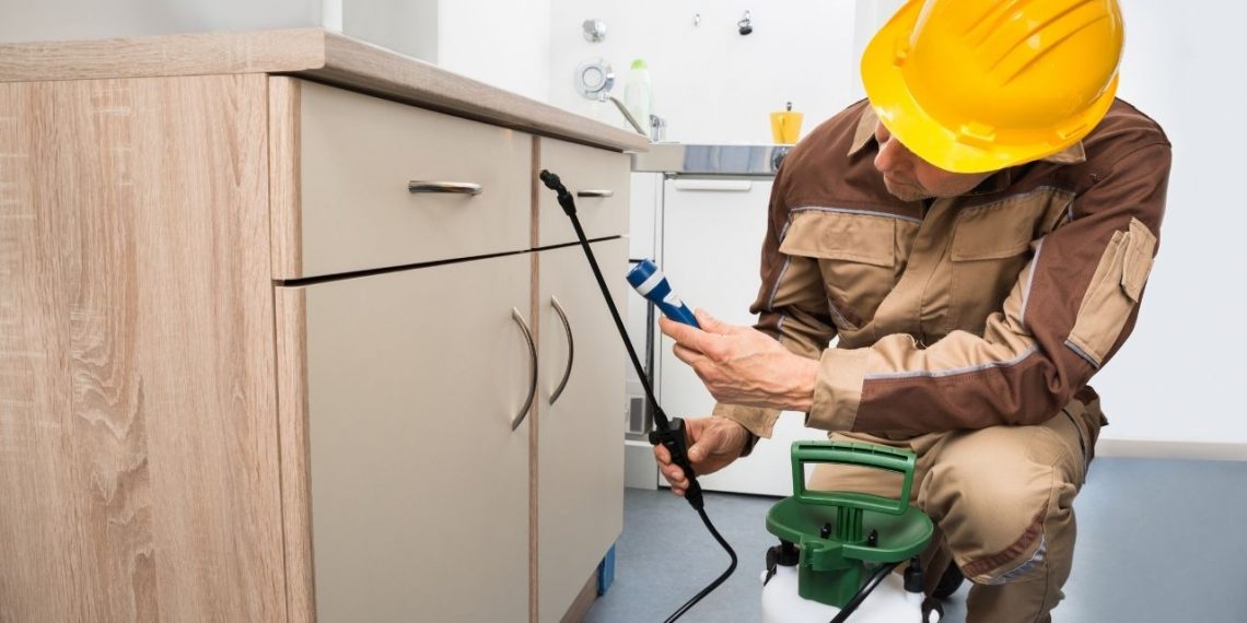 Tips to follow when hiring a pest removal service