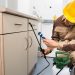 Tips to follow when hiring a pest removal service