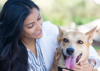 Lifestyle Experts Share 3 Tips to take Care of a Dog in an Adequate Way
