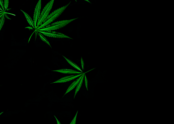 Here Is Why You Should Try Delta-8 THC