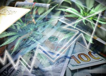 Canopy Growth is Buying the Floating Shares of Acreage Holdings Before Marijuana is Federally Legal in the US