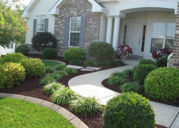 TN Nursery Reviews: Why Do I Need to Read Reviews?