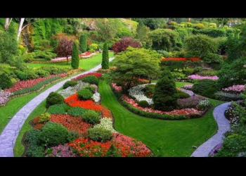 TN Nursery Reviews: What Should You Consider Before Choosing a Nursery?