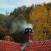 Following these 5 Common Chimney Maintenance Tips at Home can Help to Prevent Fires and Damages