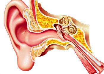 Eustachian Tube Dysfunction – Health Facts to Be Aware Of