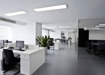 How To Set Up Your Custom Software Development Company Office