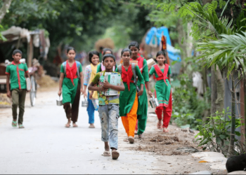 Financial Inclusion in Developing Countries