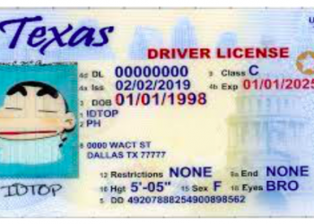 10 Tips to Improve your Pencil Drawing