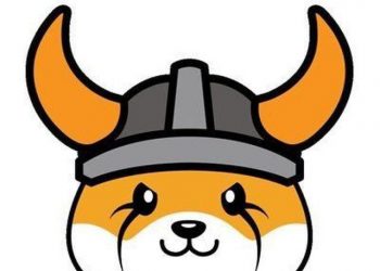 Floki Inu Has Become One Of the Most Exciting MemeCoins In The Crypto Space