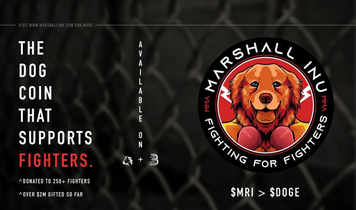 Marshal Inu Wants MMA Players To Have Extra Income Sources
