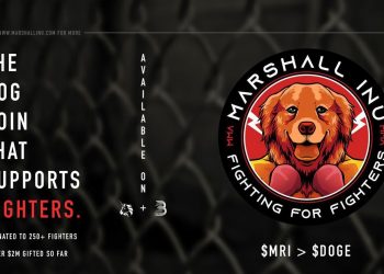 Marshal Inu Wants MMA Players To Have Extra Income Sources