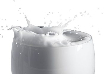 Why Coco Mama’s Organic Coconut Milk is the best choice for Vegan lovers?