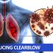 Empowering COVID-19 Patients: The Role of Portable Spirometry Devices Like Clearblow