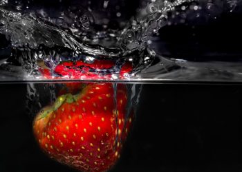 Experience Joyful Wellness with Happy Plunge: Your Gateway to Refreshment and Renewal